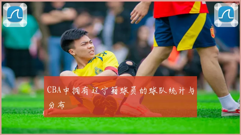 CBA中拥有辽宁籍球员的球队统计与分布