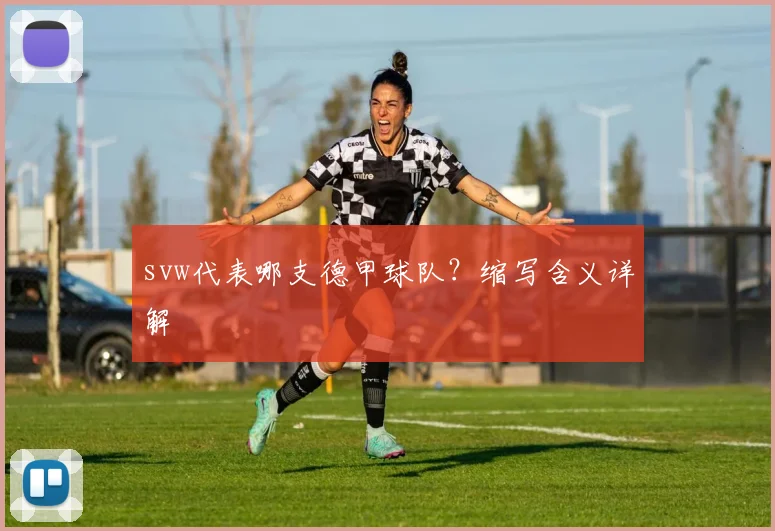 svw代表哪支德甲球队？缩写含义详解