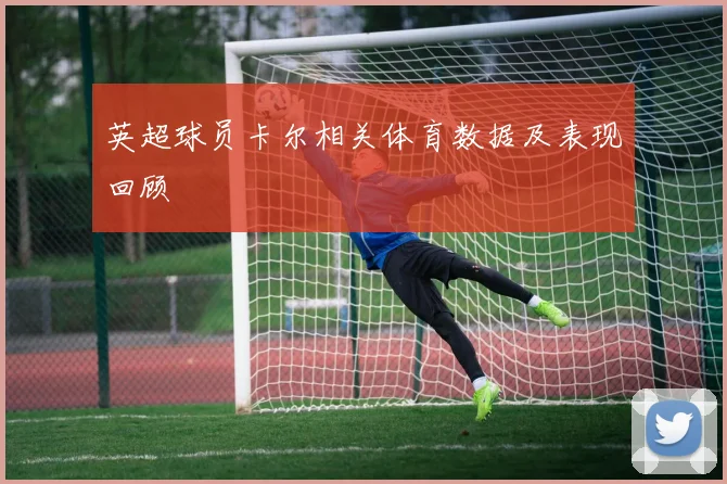 英超球员卡尔相关体育数据及表现回顾