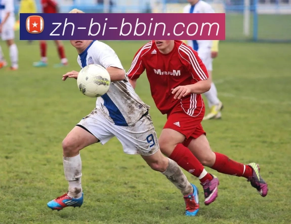 bbin宝盈APP 封面图